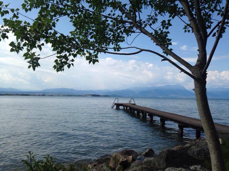 lago 13178547_1101600286568673_3294554086473079160_n lago 13178547_1101600286568673_3294554086473079160_n